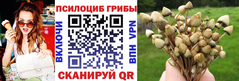 Псилоцибиновые грибы мухоморы  где найти   Энгельс 