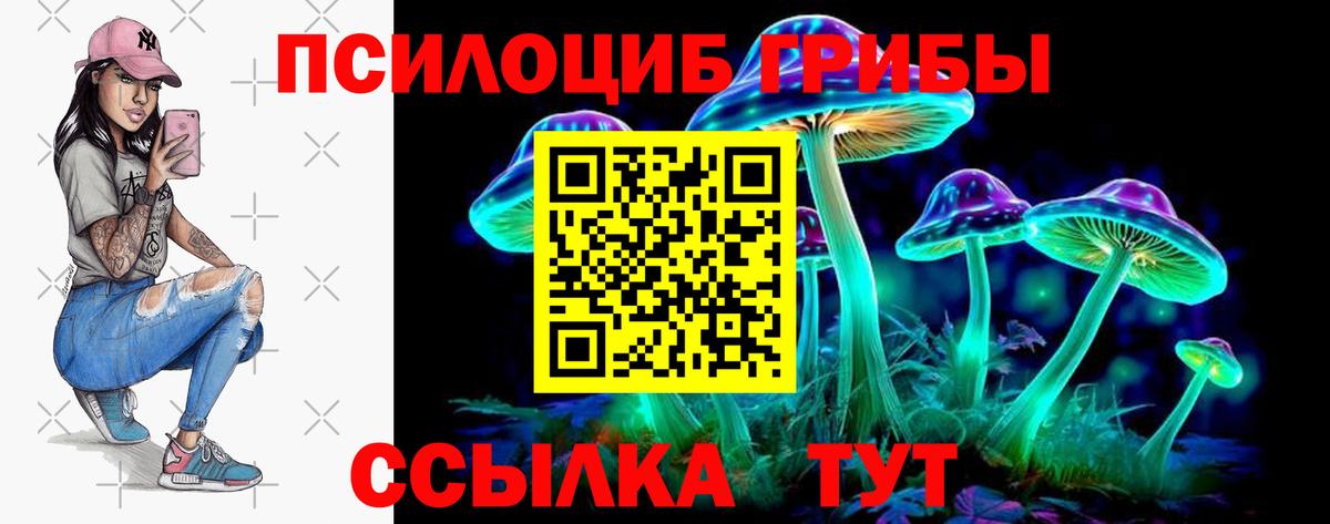 Псилоцибиновые грибы Psilocybine cubensis  Вход с VPN  купить   Энгельс 