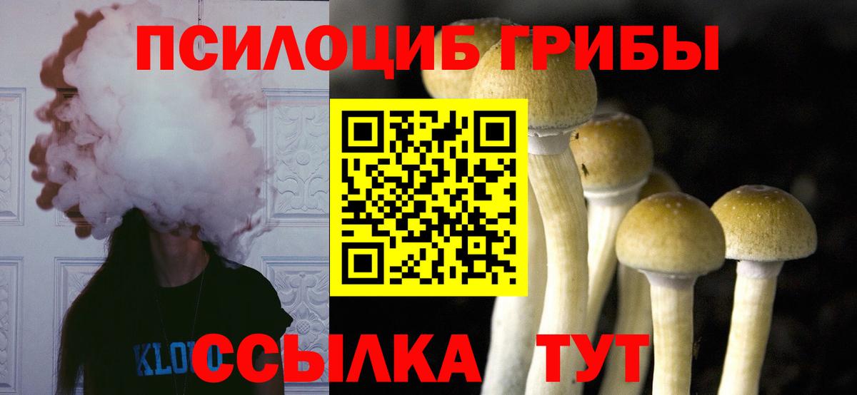 Галлюциногенные грибы GOLDEN TEACHER  Энгельс 